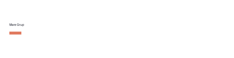 Mare Grup logo